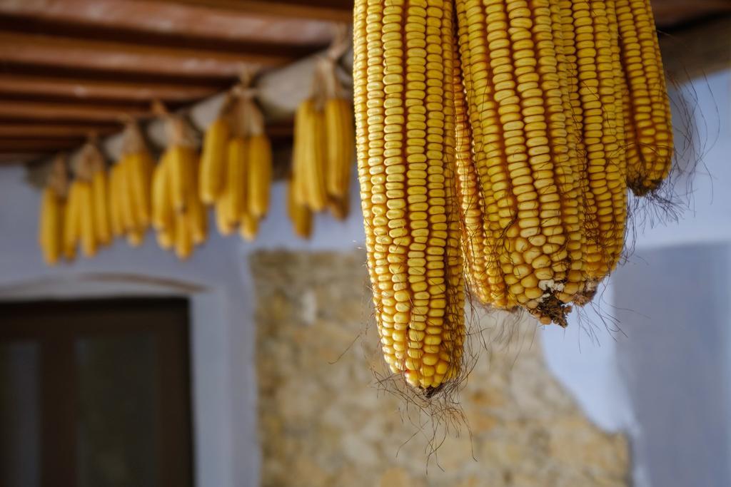 Can Barnosell - Els Masos D'En Coll Llaviá Zewnętrze zdjęcie